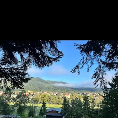Apartament зелений ретрит *