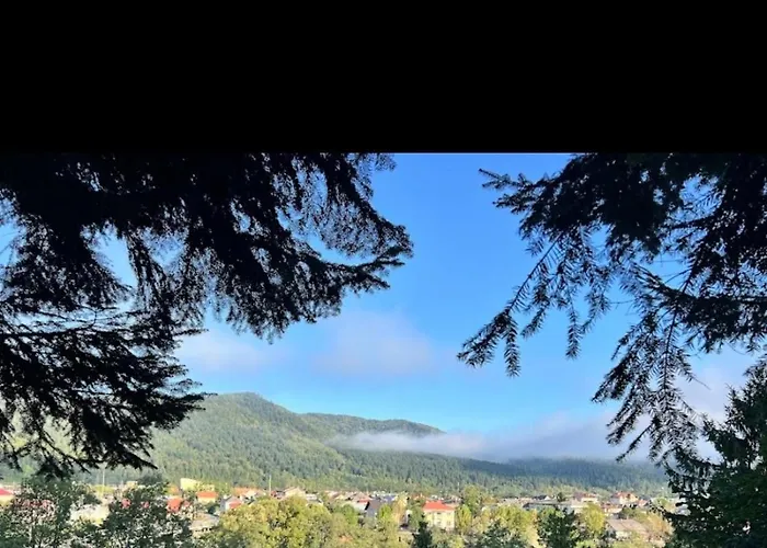 Apartament зелений ретрит *